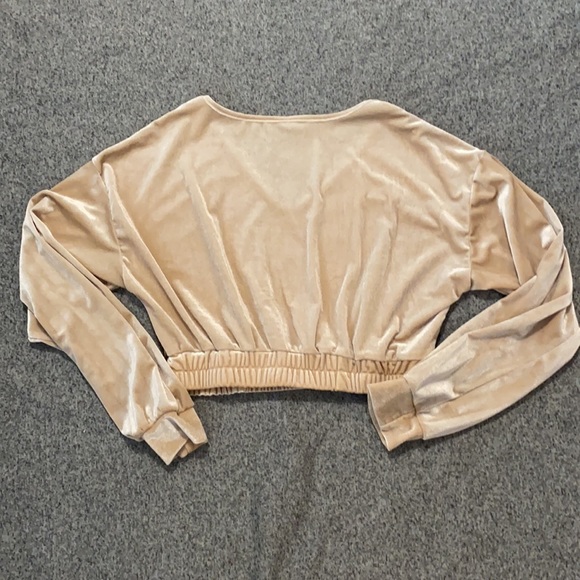 💞 5 for $10💞  Shimmering Champagne Velour Crop Top - Picture 6 of 7